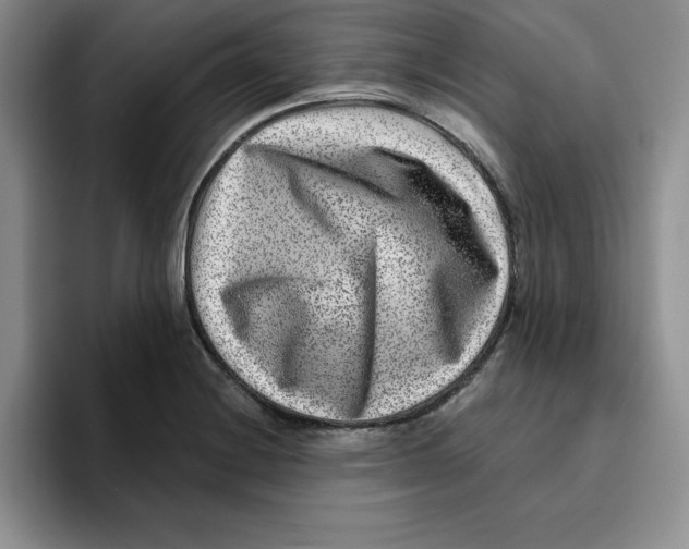 X0000096171228200802151428