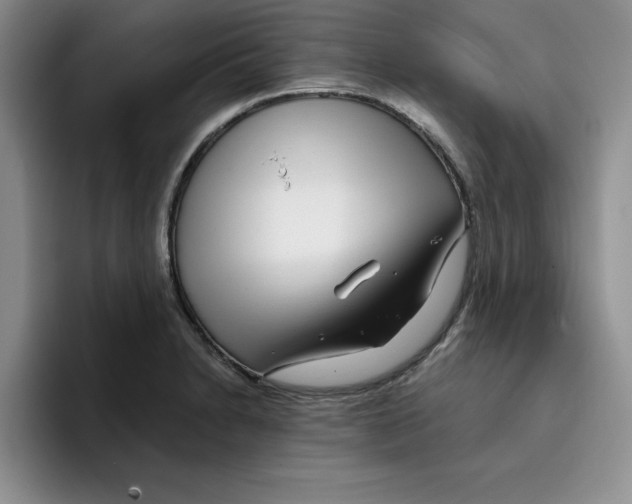 X0000096171230200802151428