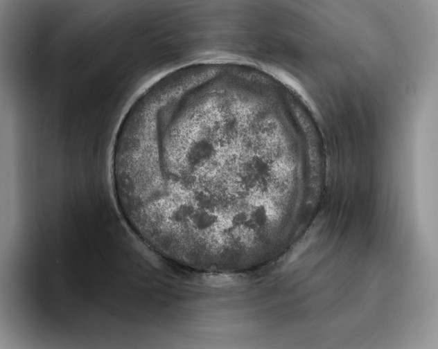 X0000096171231200802151428