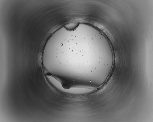 X0000096171233200802151428