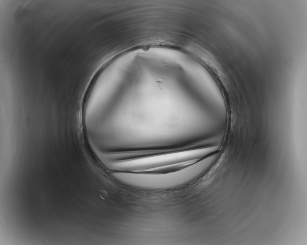 X0000096171234200802151428