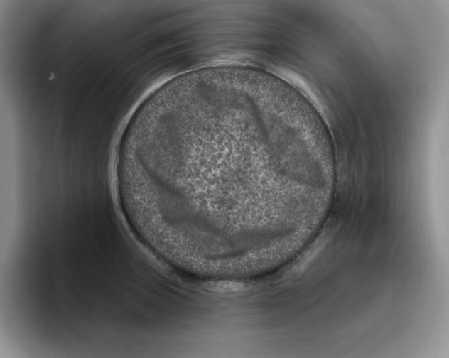 X0000096171235200802151428