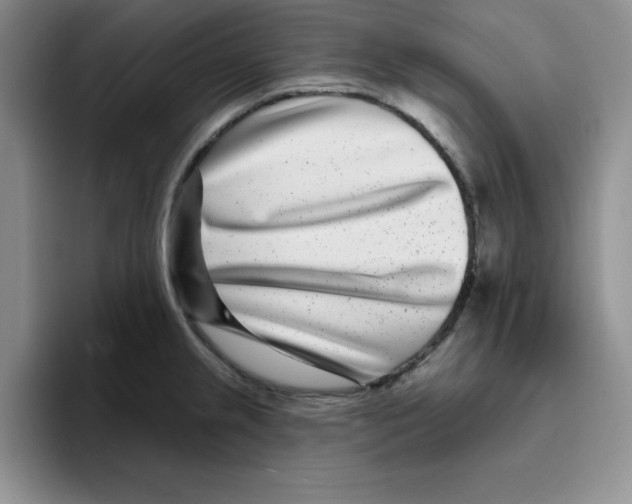 X0000096171237200802151428