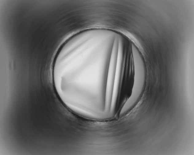 X0000096171238200802151428