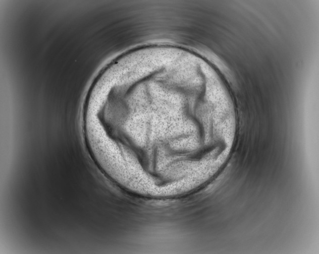 X0000096171240200802151428