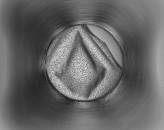 X0000096171241200802151428