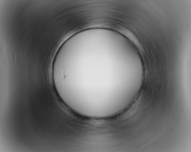 X0000096171242200802151428