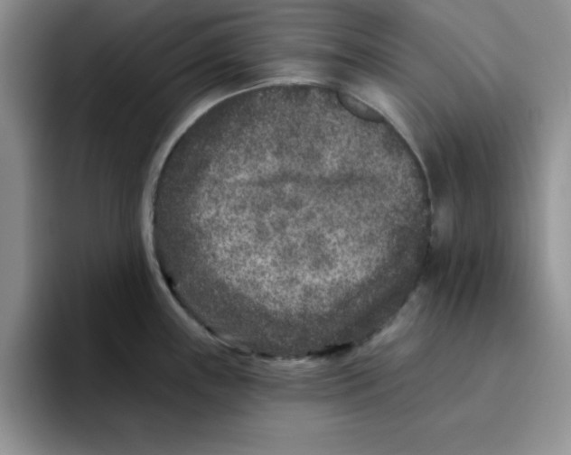 X0000096171243200802151428