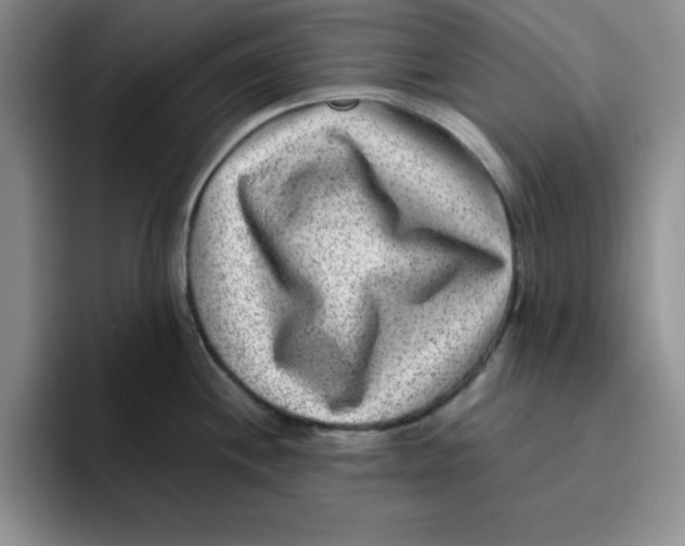 X0000096171244200802151428