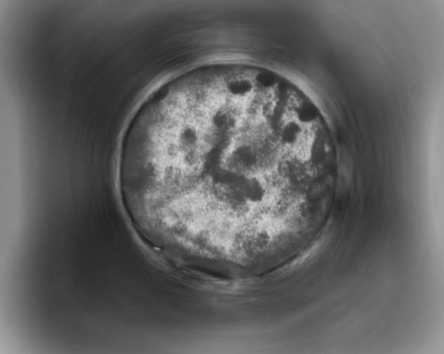 X0000096171245200802151428