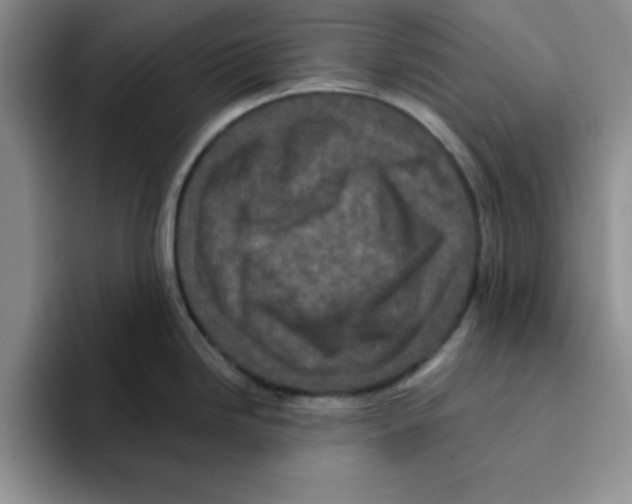 X0000096171246200802151428