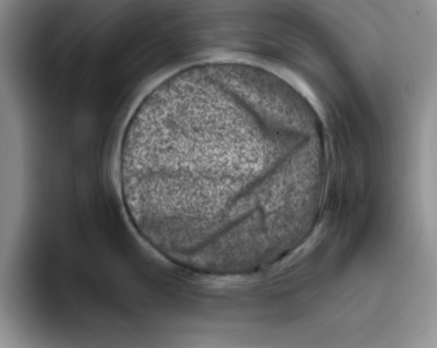 X0000096171247200802151428