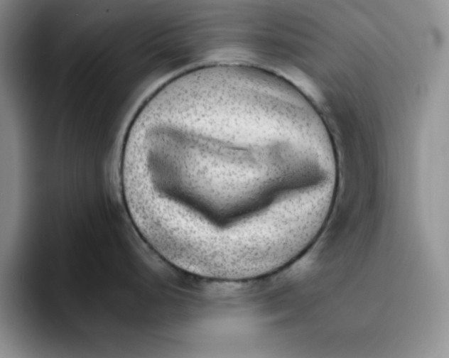 X0000096171248200802151428