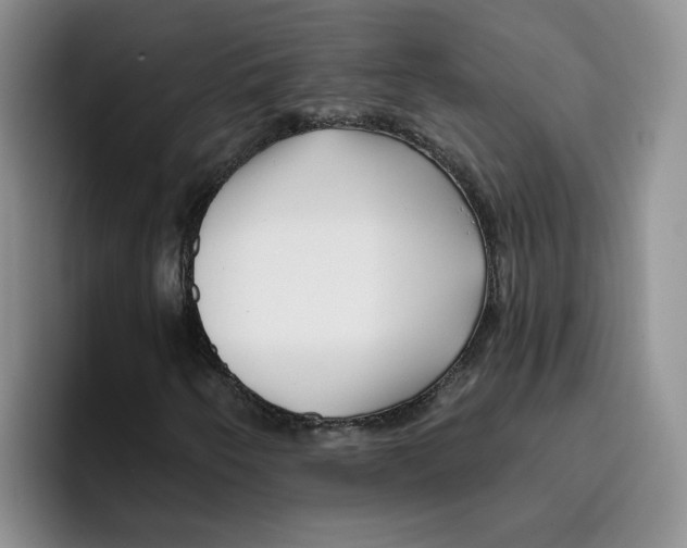 X0000096171250200802151428