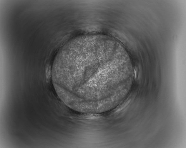 X0000096171251200802151428