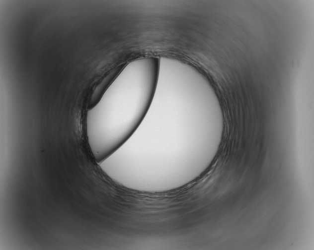 X0000096171252200802151428