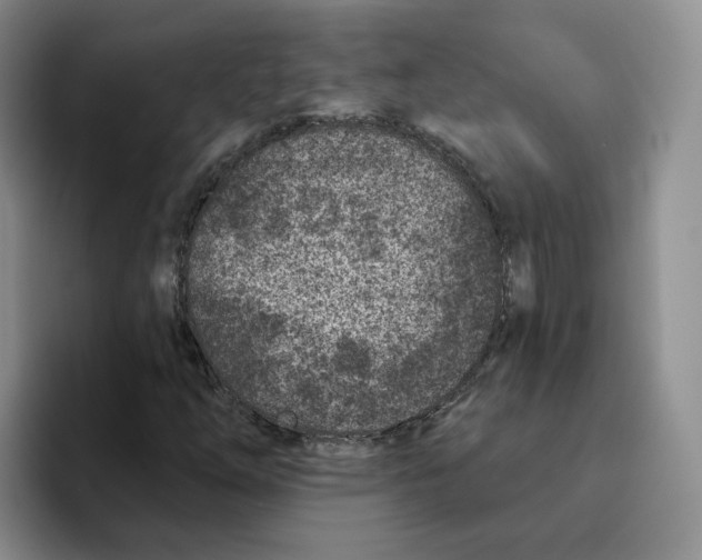 X0000096171254200802151428