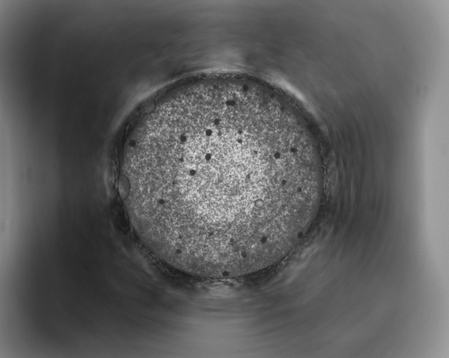 X0000096171255200802151428