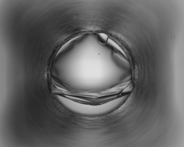 X0000096171257200802151428