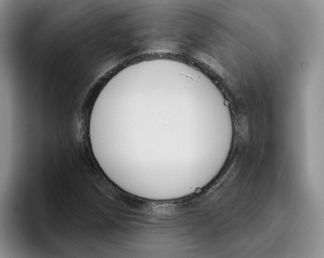 X0000096171258200802151428