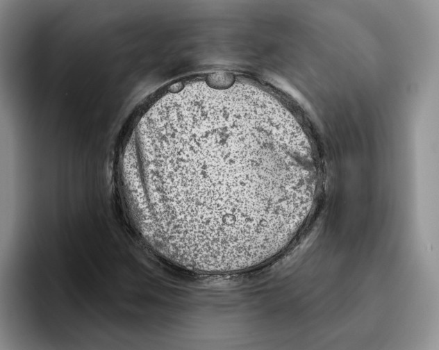 X0000096171259200802151428