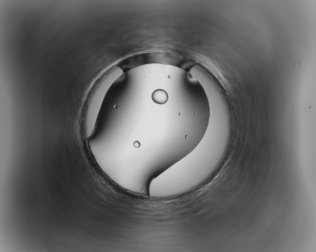 X0000096171260200802151428