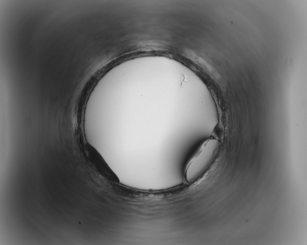 X0000096171261200802151428