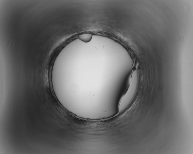 X0000096171262200802151428