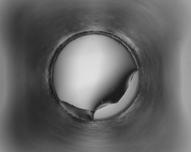 X0000096171264200802151427