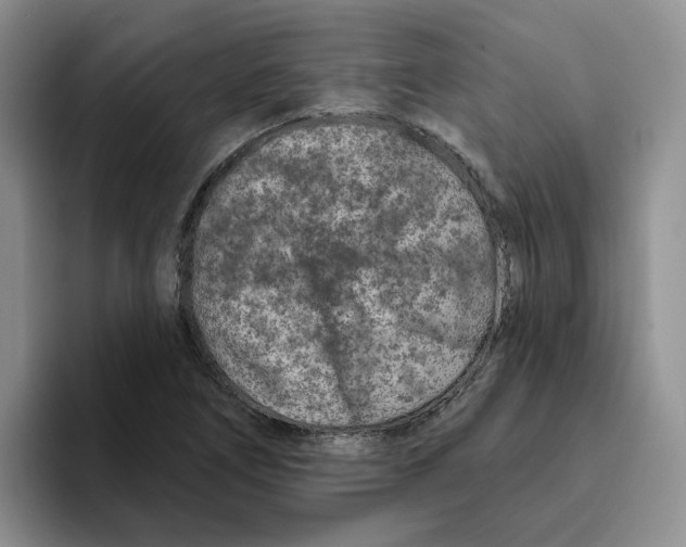 X0000096171266200802151427