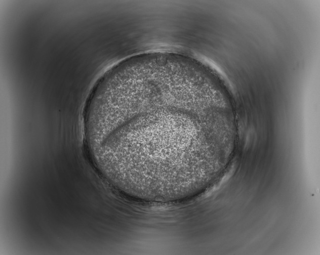 X0000096171267200802151427