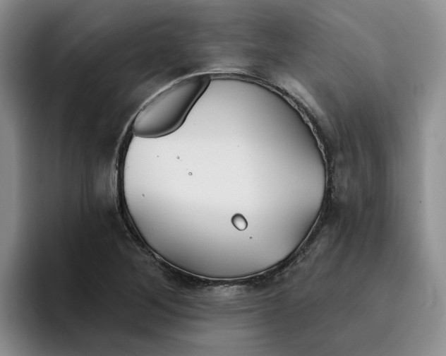 X0000096171268200802151427