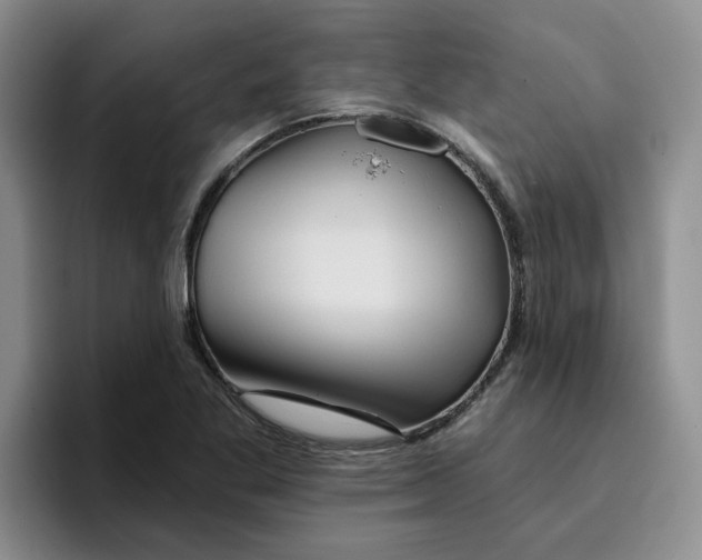 X0000096171269200802151427