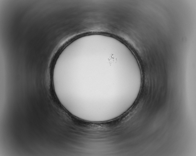 X0000096171270200802151427