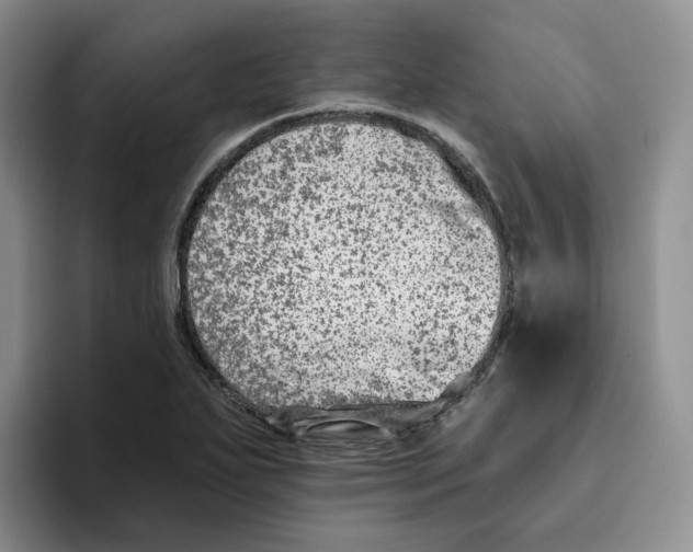 X0000096171271200802151427