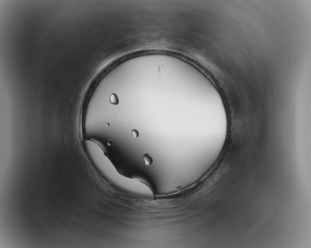 X0000096171272200802151427