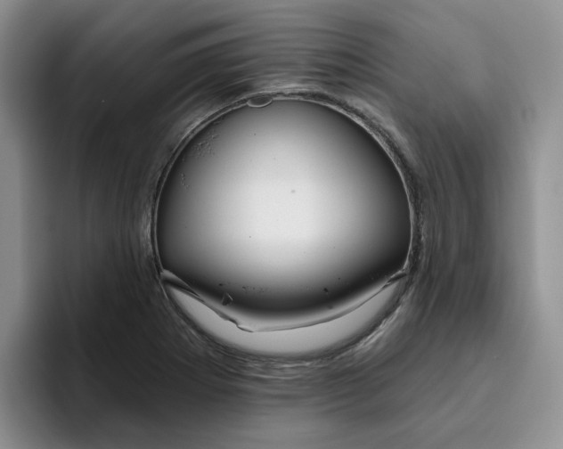 X0000096171273200802151427