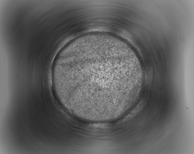 X0000096171274200802151427