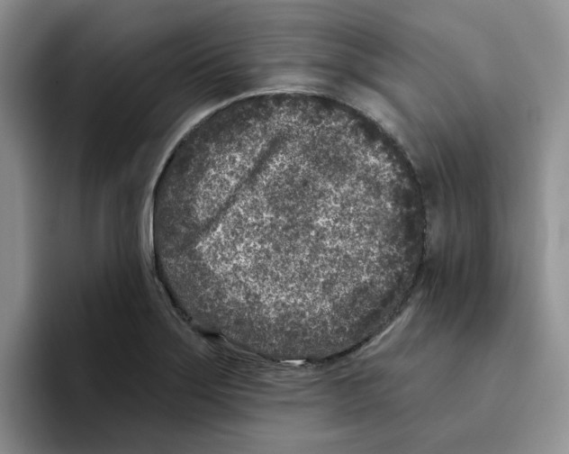 X0000096171275200802151427