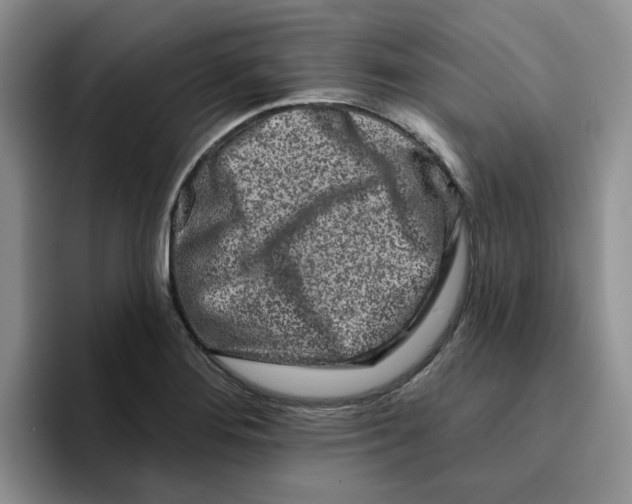 X0000096171276200802151427