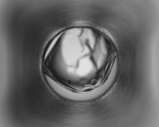 X0000096171277200802151427