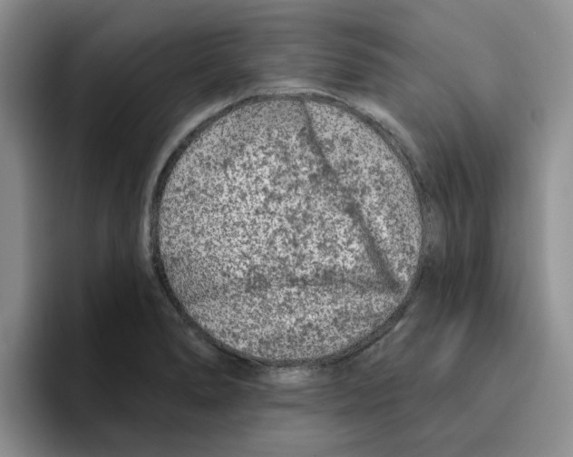 X0000096171278200802151427