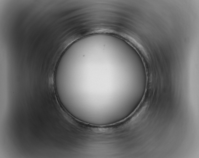 X0000096171281200802151427