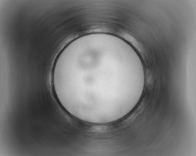 X0000096171282200802151427