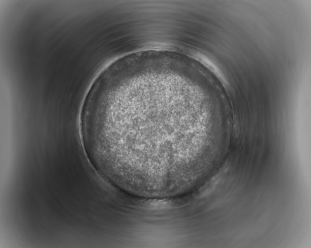 X0000096171283200802151427