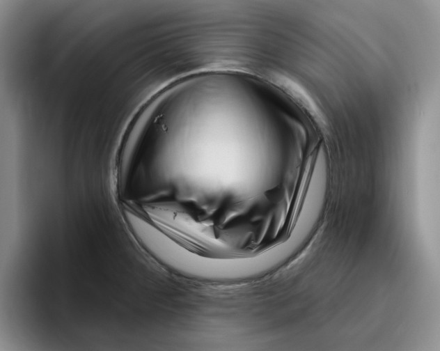 X0000096171284200802151427