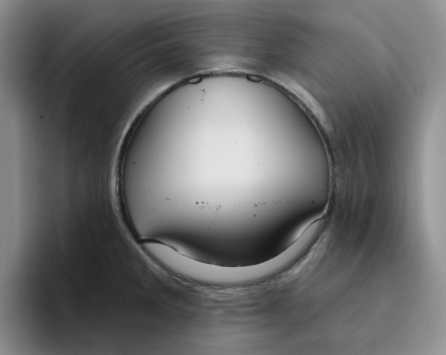 X0000096171285200802151427