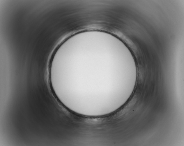 X0000096171286200802151427