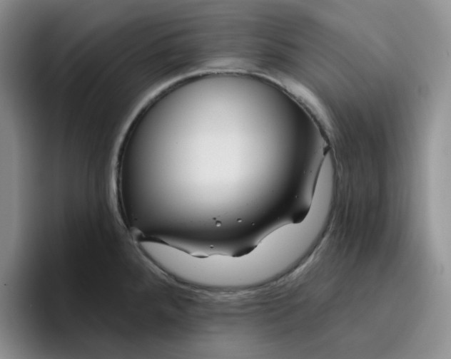 X0000096171288200802151427