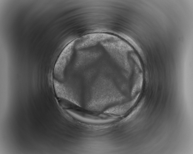 X0000096171289200802151427